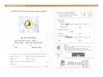 12mm Golden South Sea Loose Pearl - PSL Certified - Model Image