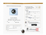 14.4mm Tahitian South Sea Pearl - PSL Certified