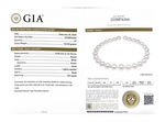 RARE 15-18mm Round White South Sea Pearl Necklace - GIA Certified - Secondary Image