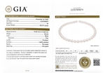 10.0-10.68mm Japanese Akoya White Pearl Necklace - GIA Certified - Secondary Image
