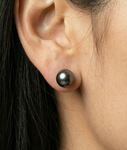 8.5-9.0mm Black Akoya Round Pearl Stud Earrings - Secondary Image