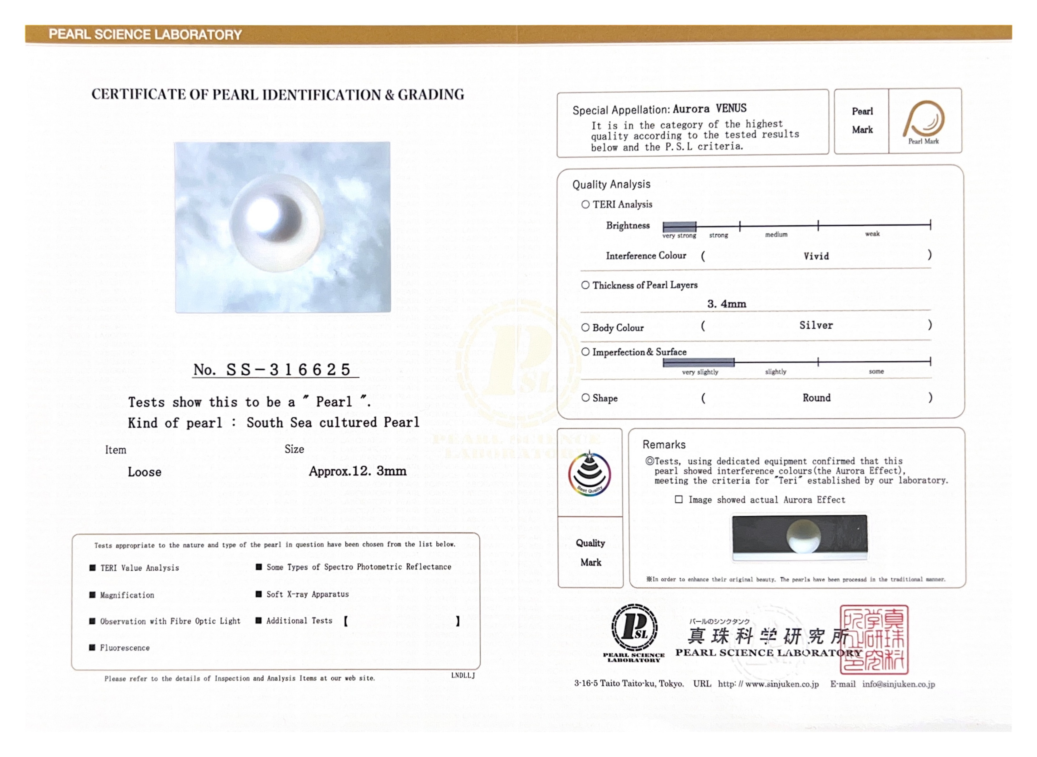 12mm White South Sea Loose Pearl - PSL Certified - Model Image