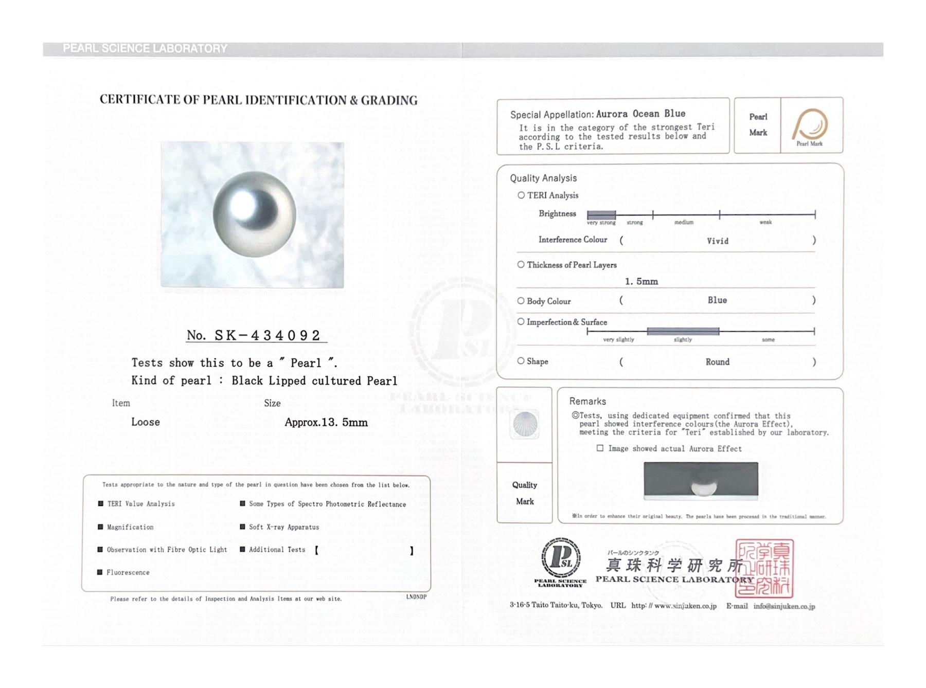 13.5mm Tahitian South Sea Silver Pearl - PSL Certified - Model Image