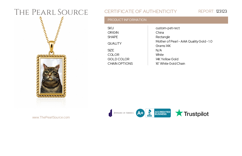 14K Gold Custom Mother of Pearl Rectangle Pendant-Certificate